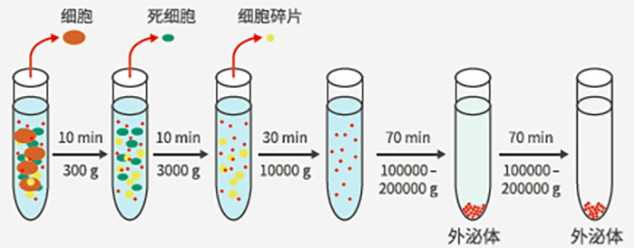 外泌体超离大致步骤